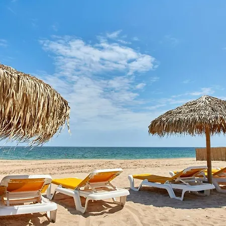 Hampton 3 By Alz * Năvodari